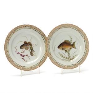 Fauna Danica to tallerkener af porcelæn, dekorerede i farver og guld med fisk. Royal Copenhagen. Diam. 26 cm. 2