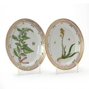 Flora Danica - to ovale fade fade af porcelæn, dekoreret i farver og guld. 3516. L. 25 cm. 2