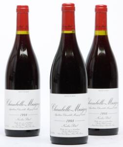 12 bts. Chambolle Musigny, Domaine Nicolas Potel 1998 A hfin. Oc.