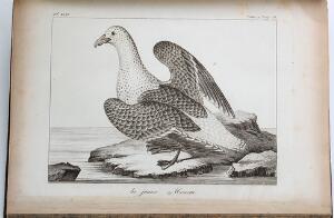 Iceland Atlas du Voyage en Islande, Fait par Ordre de S.M. Danoise. Paris 1802. With 60 engraved plates incl. folding map.