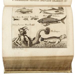18th century travelogue from Europe and Asia P.A.M. Myller Peregrinus in Jerusalem, oder Ausführliche Reis-Beschreibungen [...]. 1735. Illust.