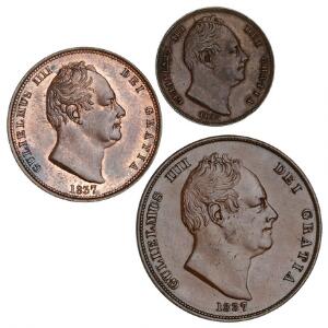 England, William IV, Penny 1837, S. 3845 Halfpenny 1837, S. 3847 Farthing 1835, S. 3848. 3