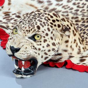 Leopardskind med hoved Panthera pardus, monteret på gråt bomuldsstof med rød kant.  Medfølgende CITES certifikat fra Naturstyrelsen. L. 236. B. 150.  2