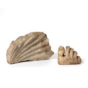 Fragment af hvidt marmor i form af tæer. Romersk tid. H. 7 cm. B. 9 cm. samt fragment af musling. H. 18. cm.