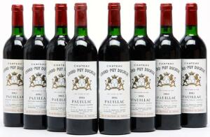 9 bts. Château Grand Puy Ducasse, Pauillac. 5. Cru Classé 1985 A-AB bn.