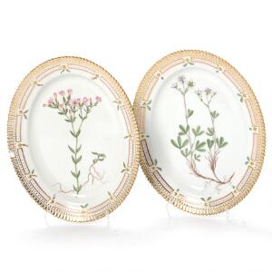 Flora Danica to ovale asietter af porcelæn, dekoreret i guld og farver med blomster. 3516. Royal Copenhagen. L. 24,5-25 cm. 2