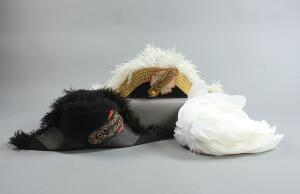 En fransk og en portugisk sovsekande. 2