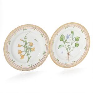 Flora Danica to middagstallerkener af porcelæn, dekorerede i farver og guld med blomster. 3549. Royal Copenhagen. Diam. 25,5 cm. 2
