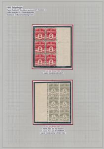 1905. Bølgelinie, 2 øre, rød og 3 øre, grå. Planche med 2 postfriske 6-blokke med varianter