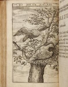 Aesops Fables Esope Les fables [...]. Nouvelle edition. Paris 1659. 8vo. Illustrated with engraved plates.