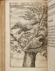 Aesops Fables Esope Les fables [...]. Nouvelle edition. Paris 1659. 8vo. Illustrated with engraved plates.