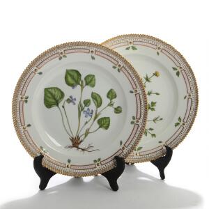 Flora Danica. To middagstallerkener af porcelæn, Kgl. P., dekorerede i farver og guld med blomster. Nr. 3549. Diam. 25,5. 2