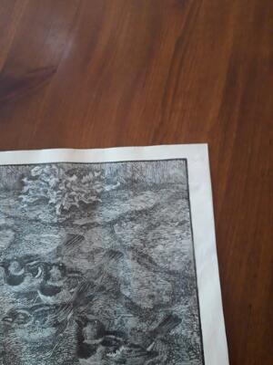 3rd of 6 images