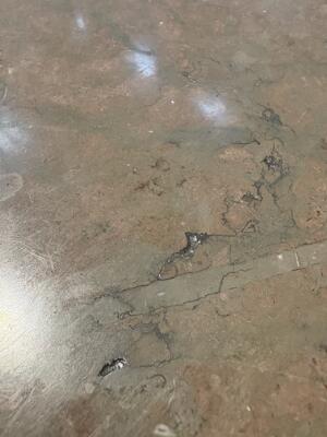 6. billede ud af i alt 12