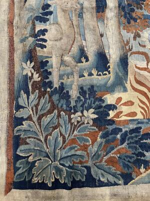 10. billede ud af i alt 11