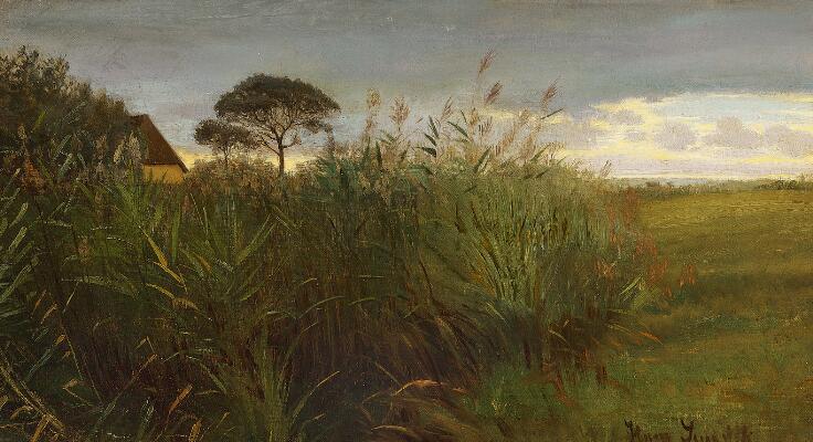 First and only image