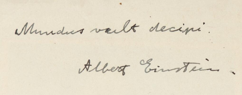 7. billede ud af i alt 43