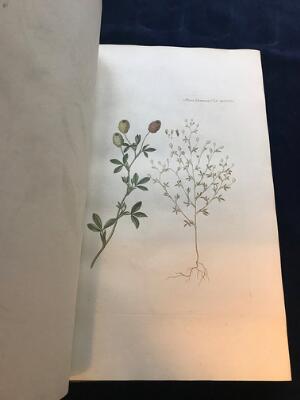 4th of 26 images