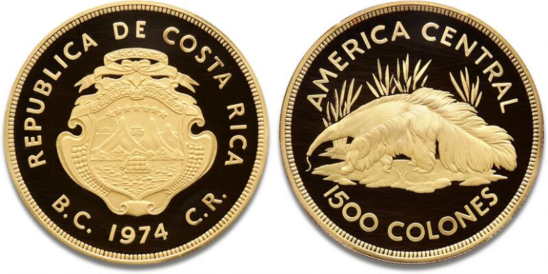 1. billede ud af i alt 2