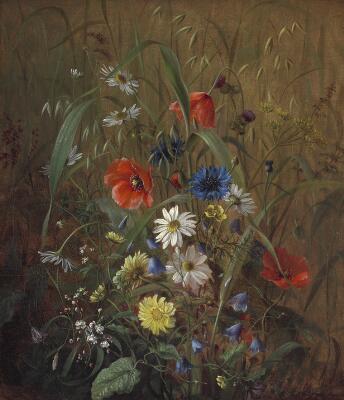 Første og eneste billede af emnet