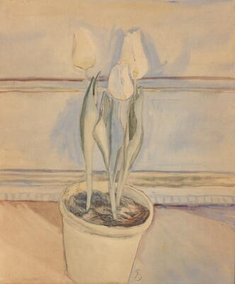 Første og eneste billede af emnet