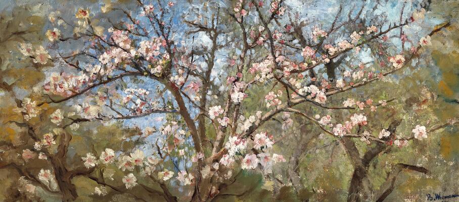 First and only image