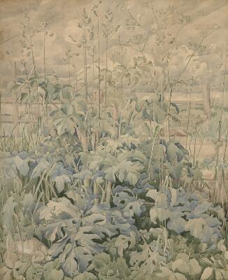 First and only image