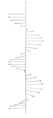 First and only image