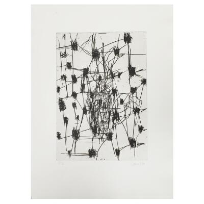 13. billede ud af i alt 14