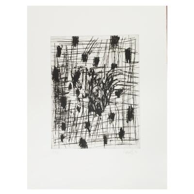 8. billede ud af i alt 13