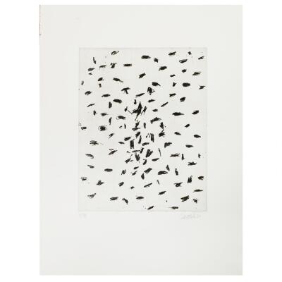 9. billede ud af i alt 13