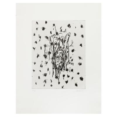 13. billede ud af i alt 13