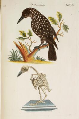 2. billede ud af i alt 11