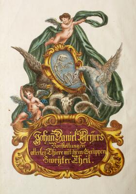 4. billede ud af i alt 11