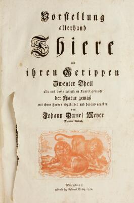 5. billede ud af i alt 11