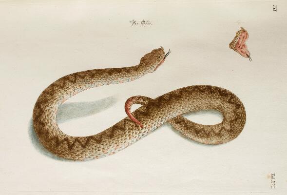 7. billede ud af i alt 11