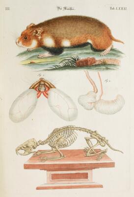 10. billede ud af i alt 11