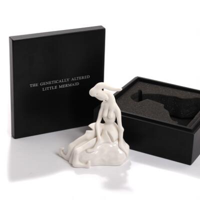 5. billede ud af i alt 5