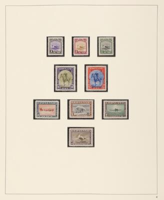 5th of 6 images