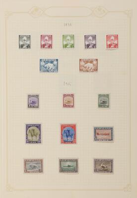 12. billede ud af i alt 12