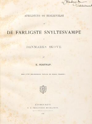 3. billede ud af i alt 4