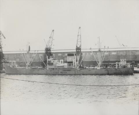 11th of 15 images
