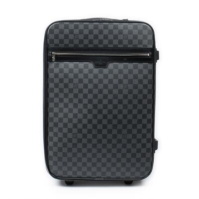 Louis Vuitton Garment Cover Damier Graphite Black in Canvas with  Silver-tone - US