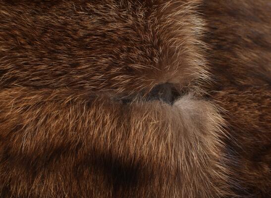 5. billede ud af i alt 5