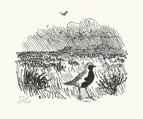 1st of 2 images