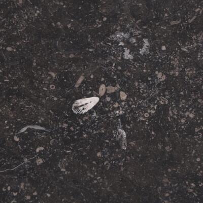3rd of 5 images