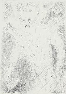 1. billede ud af i alt 2