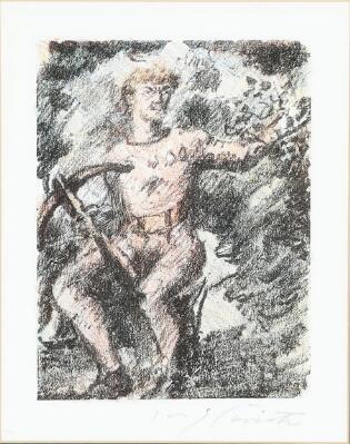 1. billede ud af i alt 2