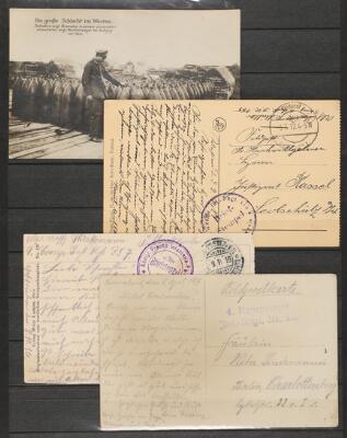 16. billede ud af i alt 26