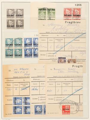 10. billede ud af i alt 11